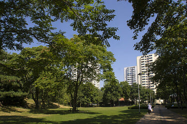 Colombes