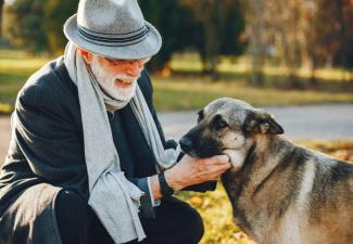 Animaux de compagnie en résidence senior : ce que dit la loi et comment trouver un établissement pet-friendly