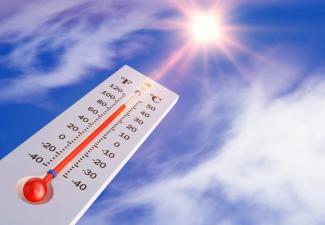 La pré-alerte canicule est déclenchée !