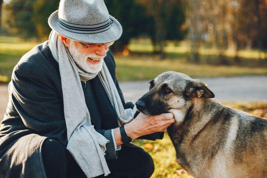 Animaux de compagnie en résidence senior : ce que dit la loi et comment trouver un établissement pet-friendly