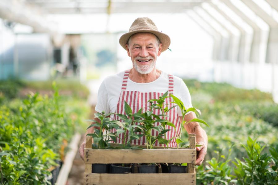Les plantes sont bonnes pour votre santé et ralentissent le vieillissement