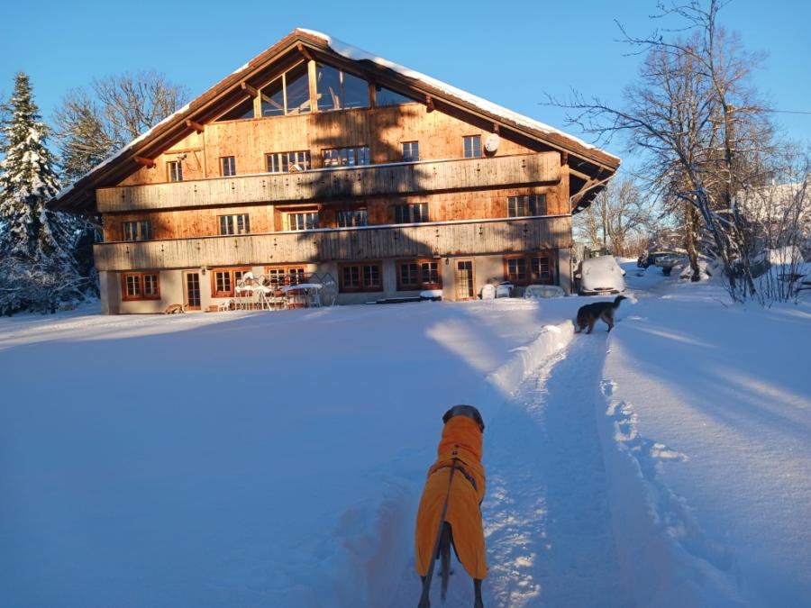 La Chailloz d'en Haut