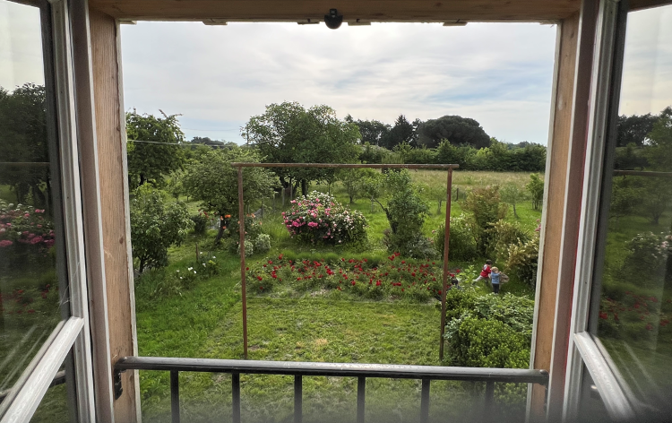 Le bosquet intergenerationnel