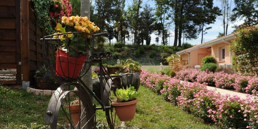 Senioriales de St Pantaléon les Vignes