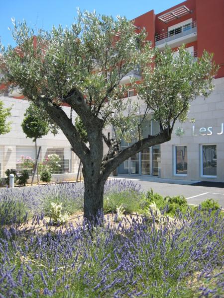 Les Jardins d’Arcadie de Sète – Les Marches du Soleil