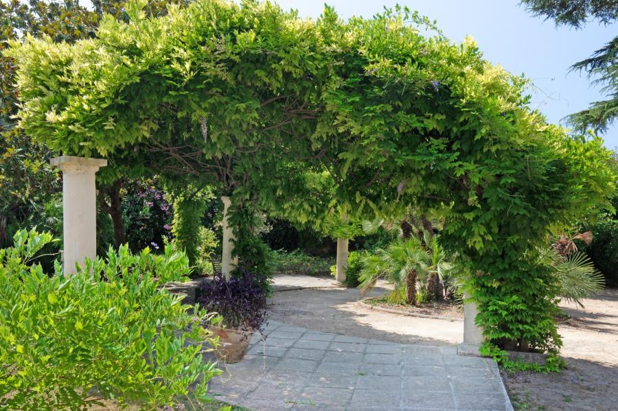 Les Jardins d'Arcadie Golfe Juan - Résidence Lérins