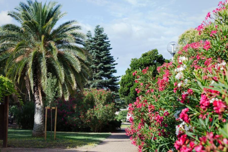 Résidence Services Séniors  "Les Jardins Conviviales"