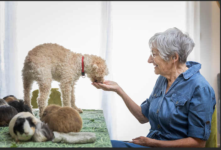 Lourdes - Les Résidences STELLA
