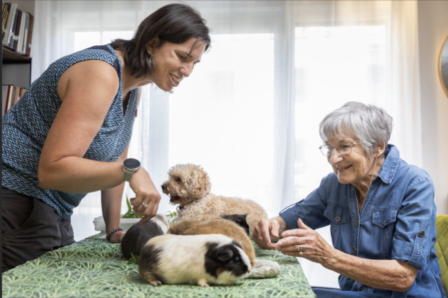 Mérignac - Les Résidences STELLA