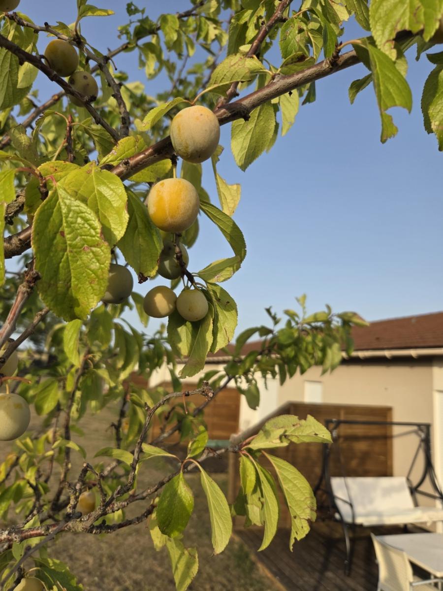 Village Séniors de Vatan, 27 maison-appart avec terrasse privée et parking ,T2 au T4