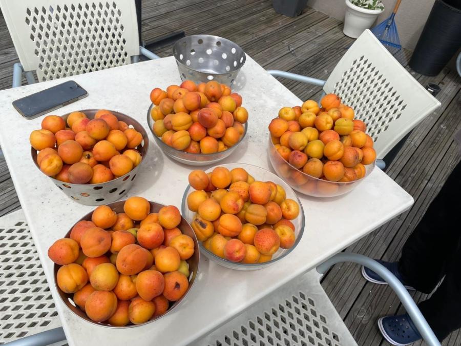 Village Séniors de Vatan, 27 maison-appart avec terrasse privée et parking ,T2 au T4