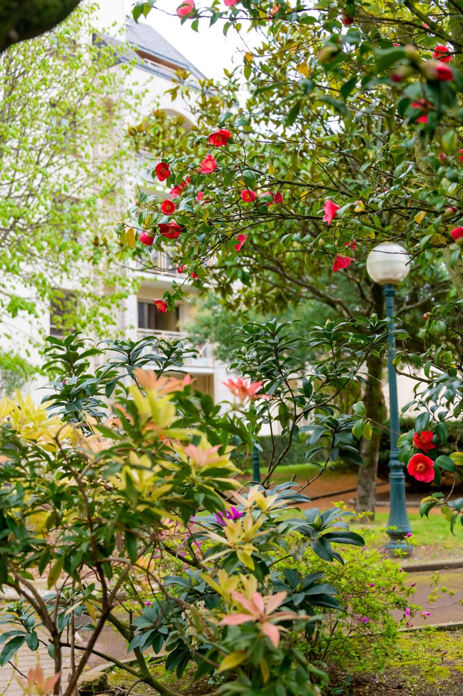 Résidence Les Castalies