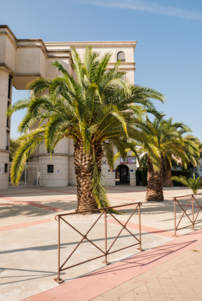 Nohée Montpellier