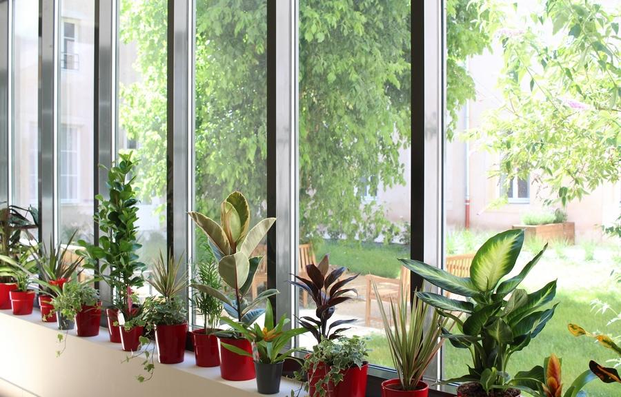 Les Jardins d’Arcadie de Nancy – Résidence Saint-Nicolas
