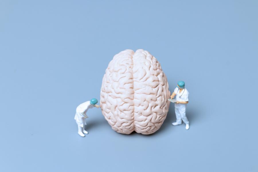 Le Plan Alzheimer 2008-2012 : le bilan