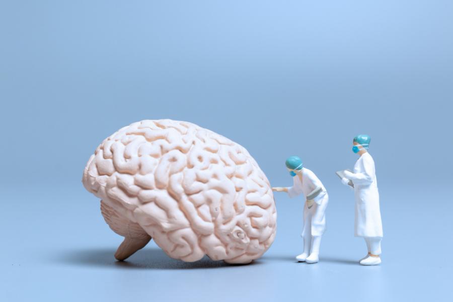 Les pistes prometteuses de la recherche sur la maladie d'Alzheimer