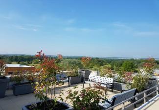 Residence Orpea Les Lys
