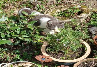 Résidence des Casseaux